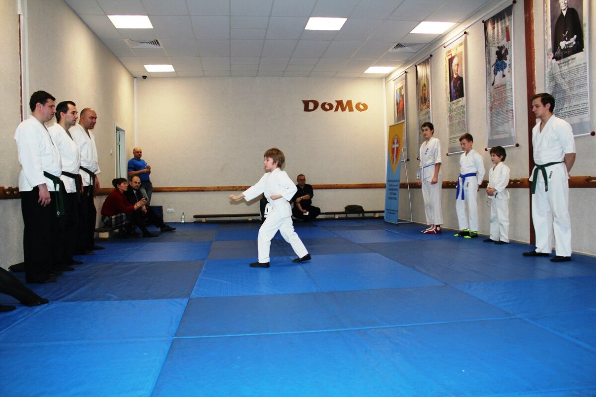 аттестация в школе единоборств #ДоМо