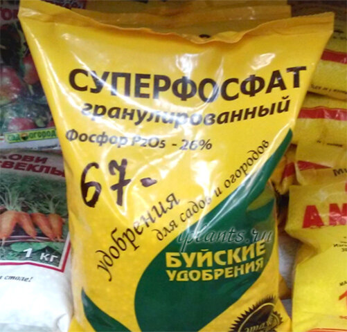 Суперфосфат 