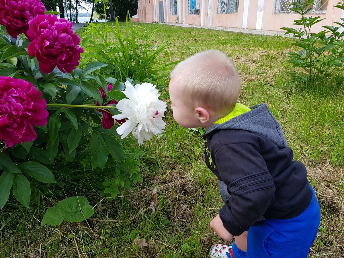 Знакомство с миром