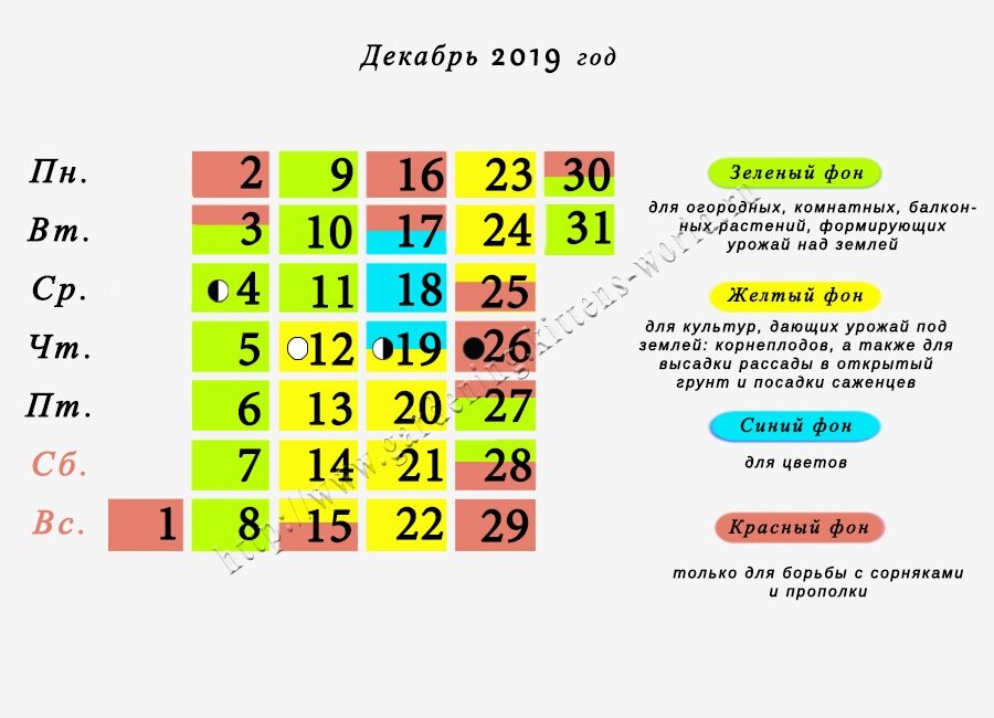 8 апреля 2019 год