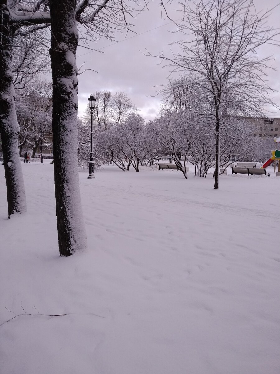 А у нас в городе выпал снег