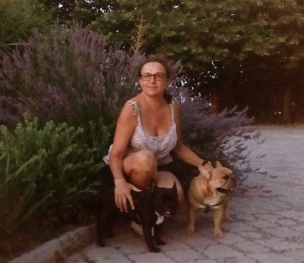 Во дворе гостиницы, под кустом лаванды. 