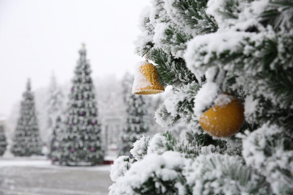 фото; Администрация Ставрополя 
