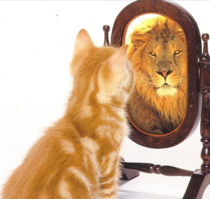 Фото взято из открытых источников