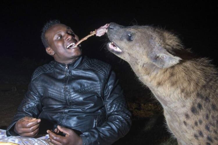 The life of animals