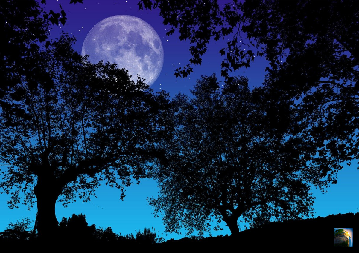 Фото pixabay.com