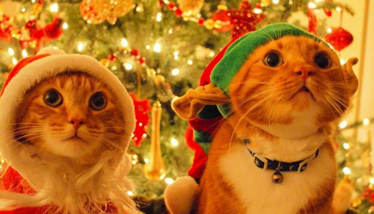 Так вот ты какой дедушка Мороз!))))       фото из deskotopwallpapers.org.ua