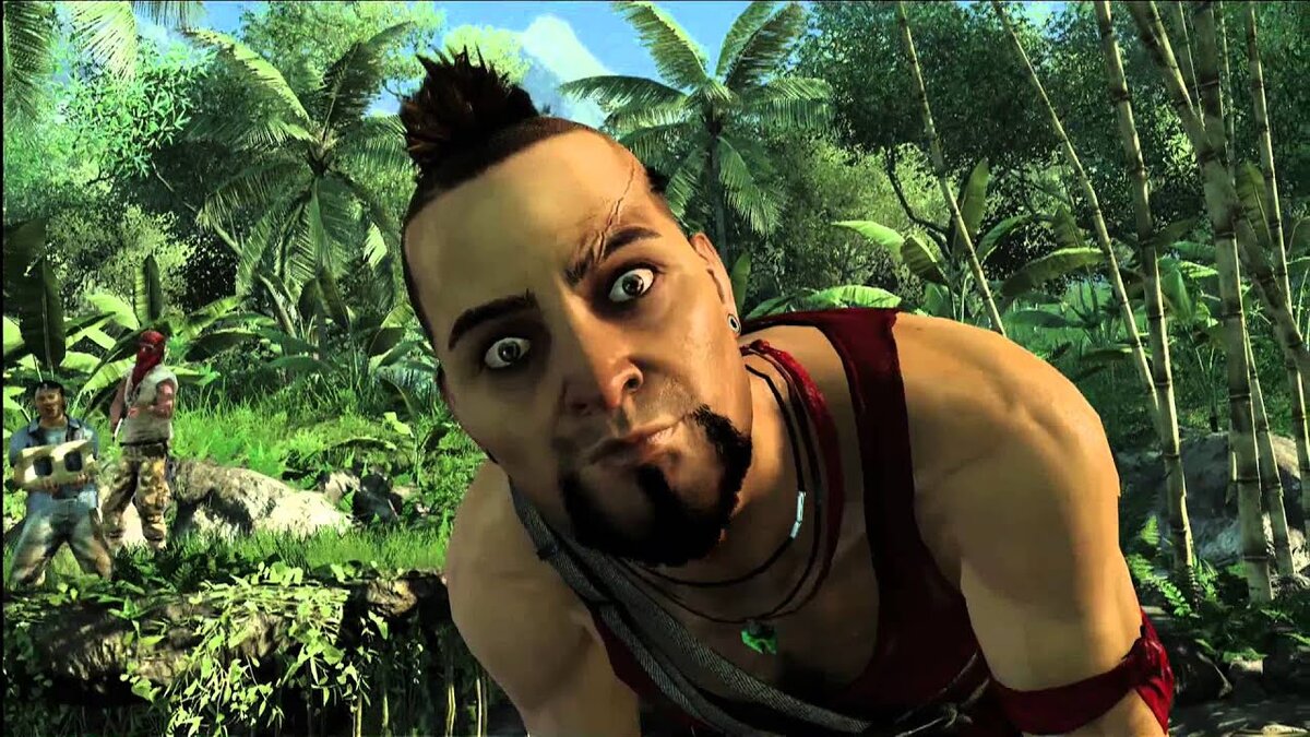 Ваас фар край. Ваас Монтенегро. Far Cry 3 Мем. Far Cry 3 безумие.