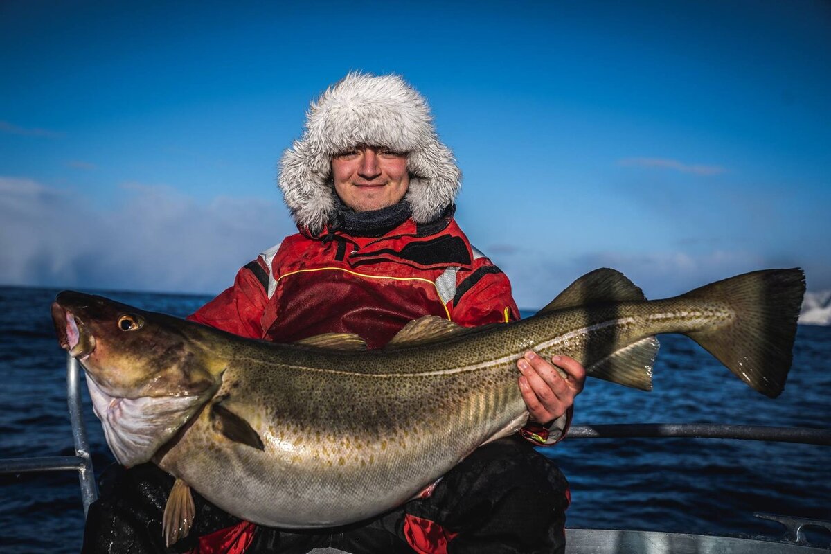 Рыбалка в Норвегии. Фото из открытых источников