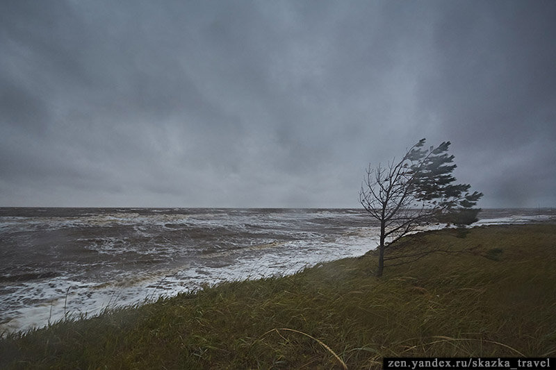 Белое море штормит