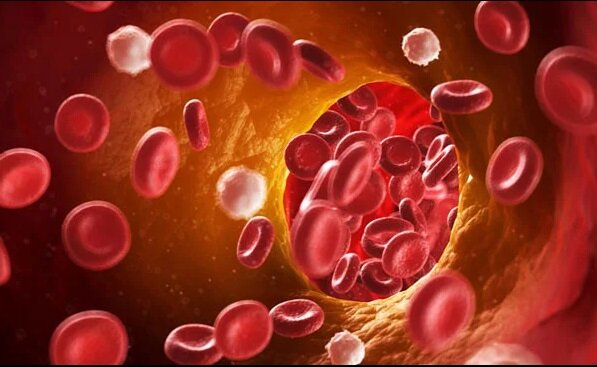 Повышенный уровень холестерина в крови может быть опасен! Картинка с сервиса https://yandex.ru/images