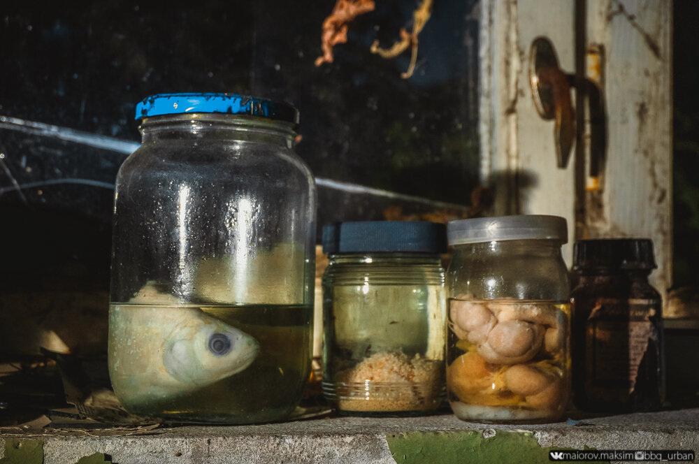 Нашли банки с рыбой выращенной 33 года назад, в пруду рядом с Чернобыльской АЭС