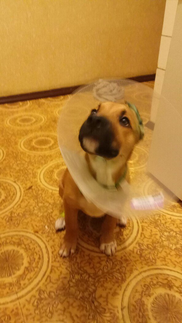 Это уже за мной пришли?