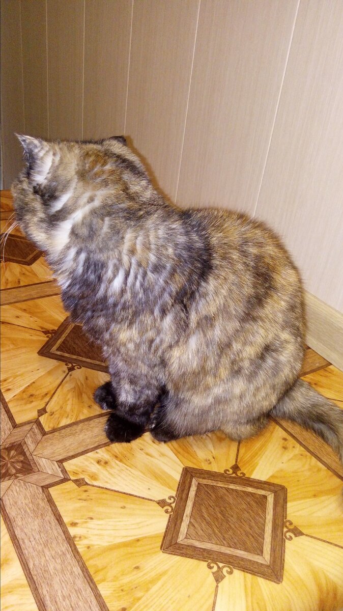 Фото автора. Воооон туда он побежал