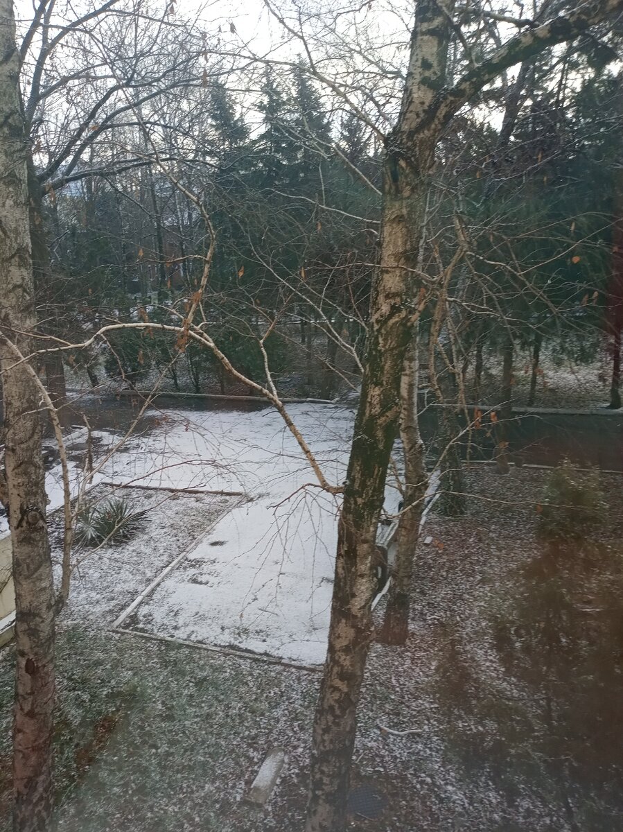 Успела сделать фото на память