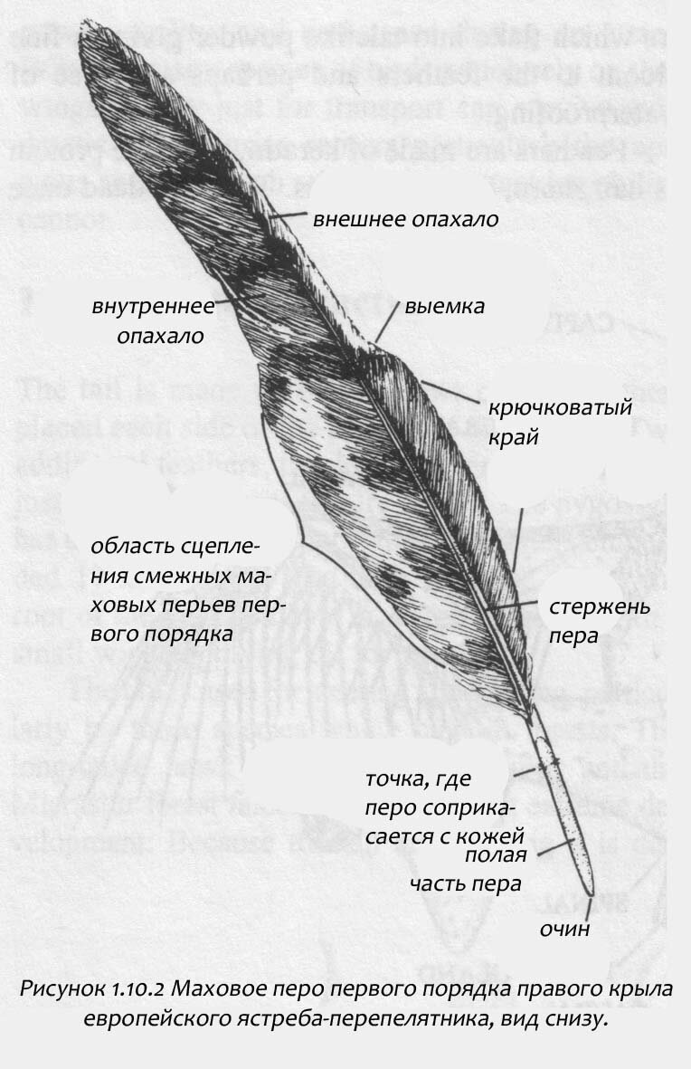 ArtOfWar. Миронов Вячеслав Николаевич. Славка, Колька, Сашка и самолёт