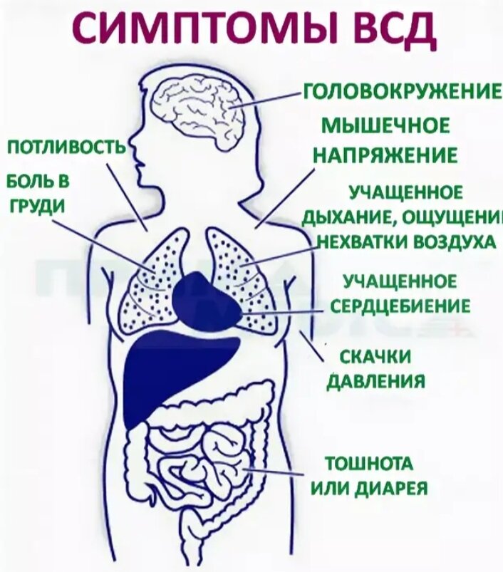 Диагноз всд. Вегетососудистая дистония симптомы. Вегето-сосудистая дистония что это такое простыми словами. Вегетососудистая дистония симпт. Вегетососудистаядистания.