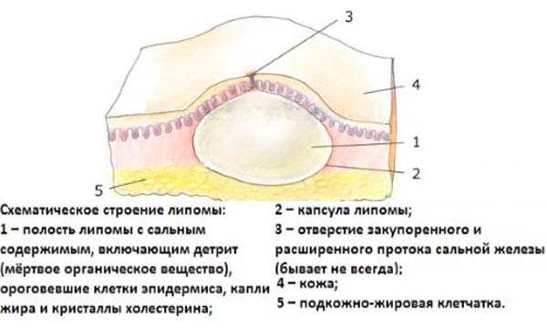 Из открытого источника