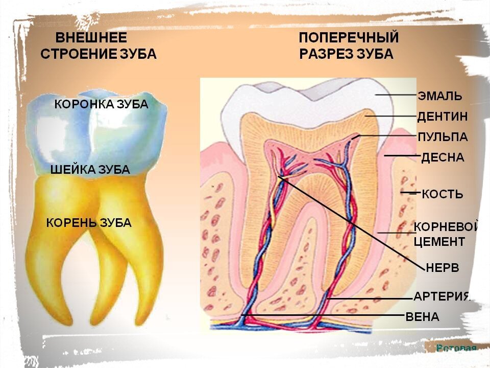 Лечение свища на десне