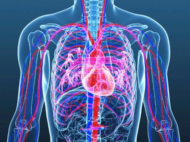 Укрепление сердечно-сосудистой системы и сердца с помощью 2-х упражнений.