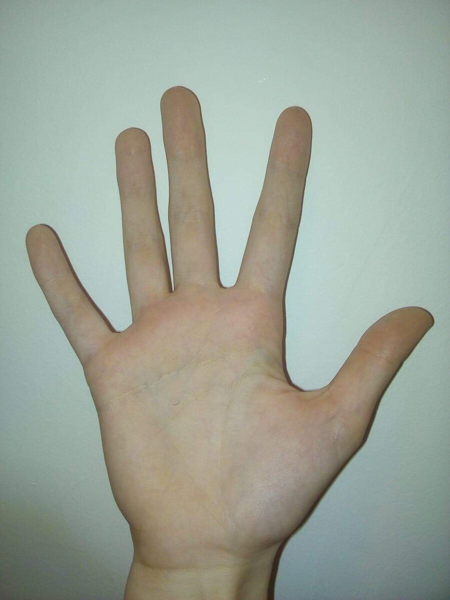 Некачественное фото ладони. Девушка 16 лет.