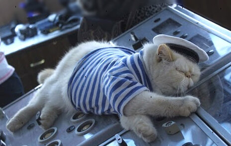 сон морячка!