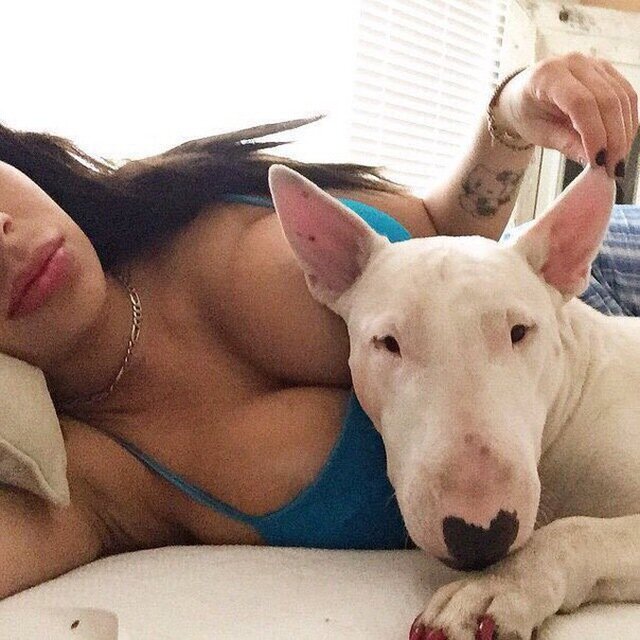 яндекс картинки