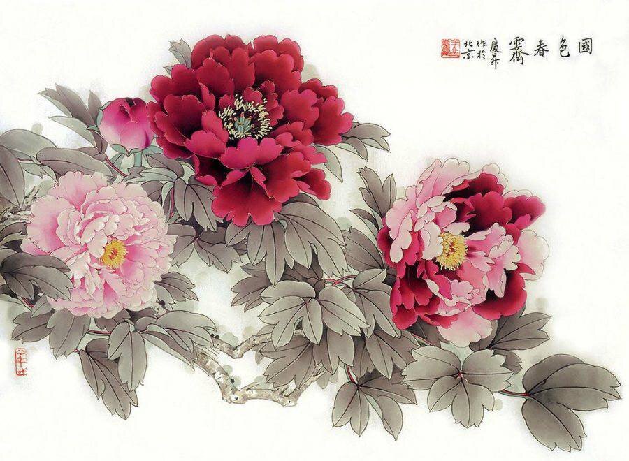 Ван Цин, Пионы