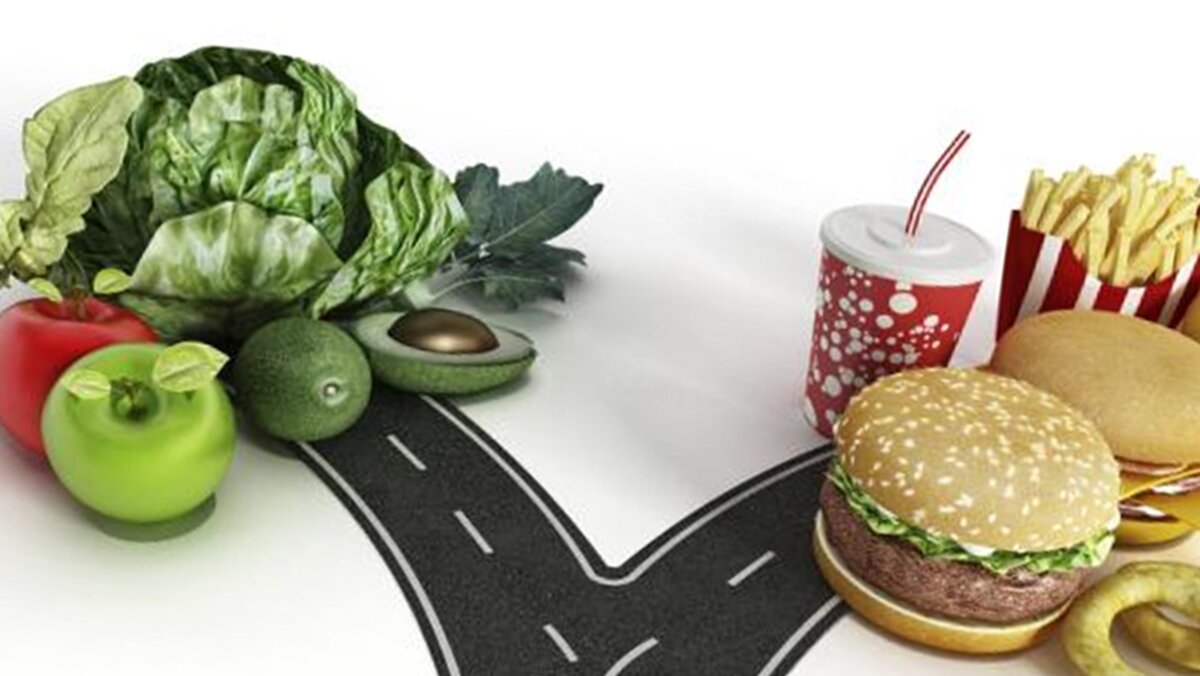 вегетарианство полезно или вредно