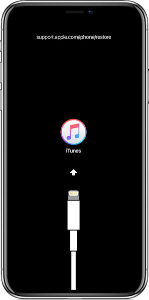 Экран восстановления iOS 12
