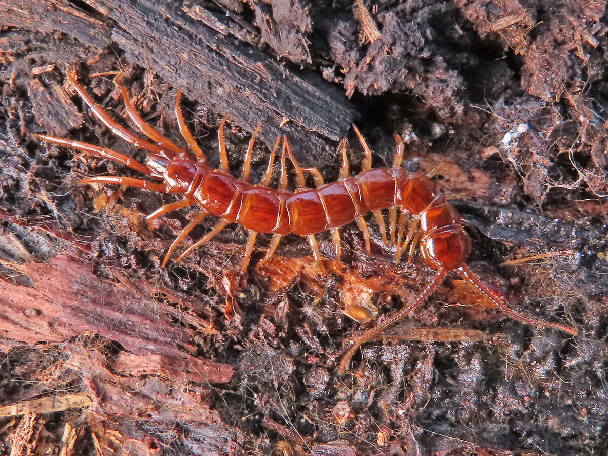 9 марта 2020, Радищево.