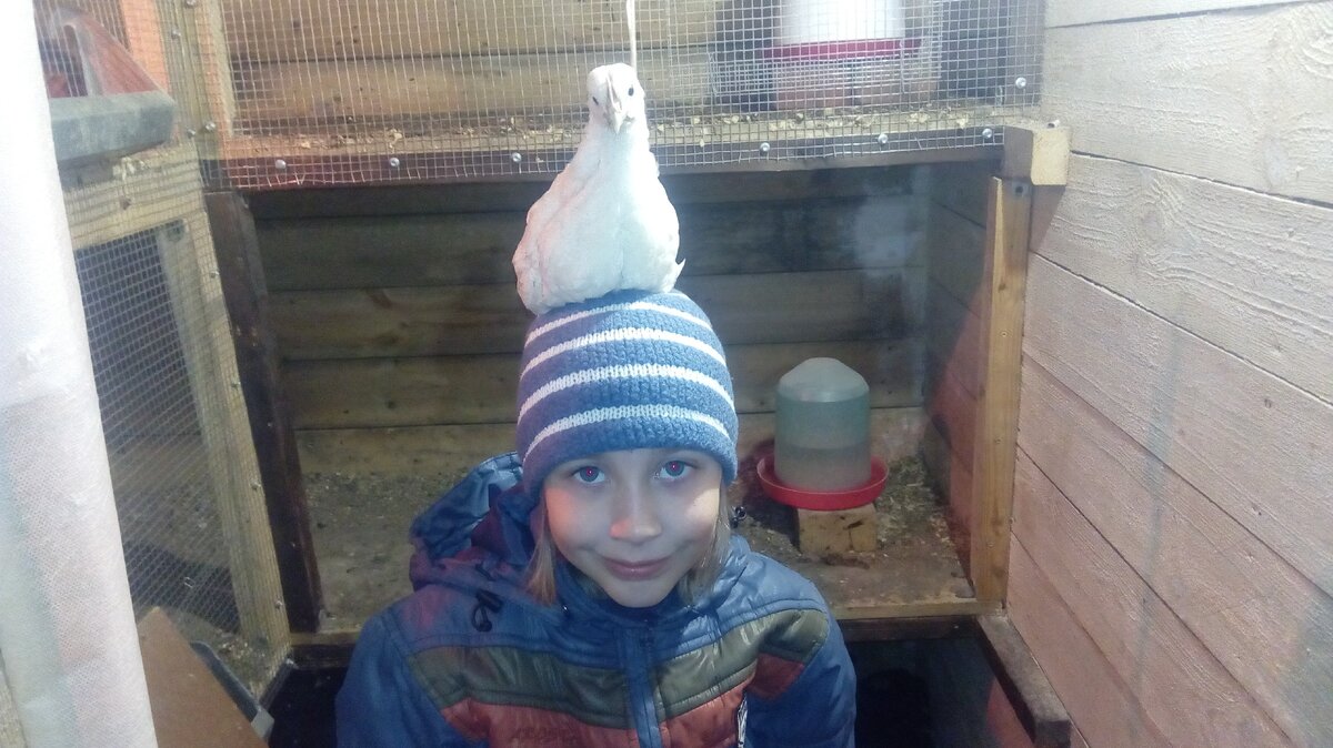Дочь и её ручной цыплёнок. 