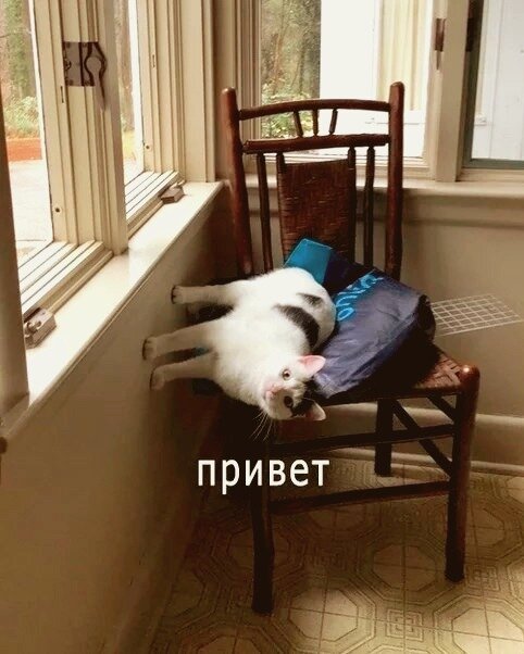 Сломал реальность