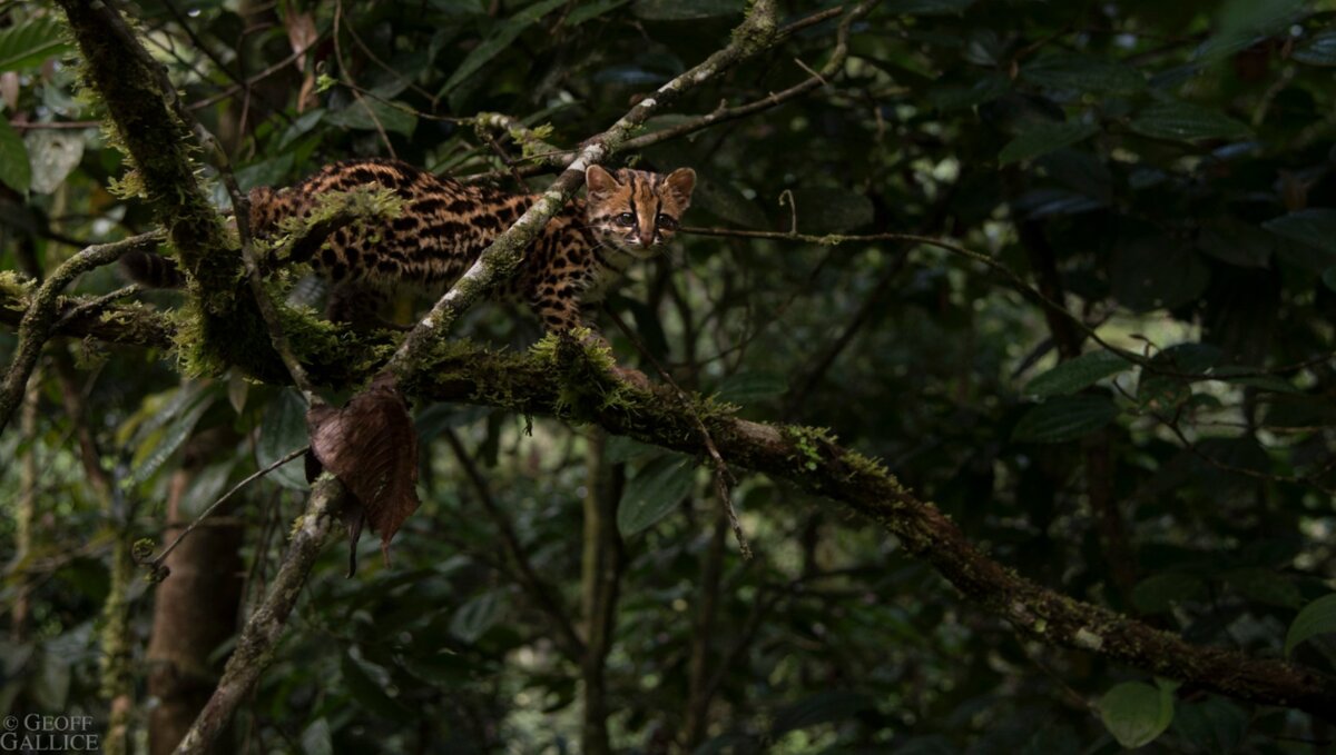 Источник - flickr.com