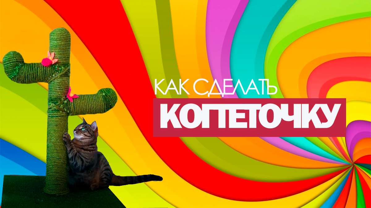 Как сделать когтеточку