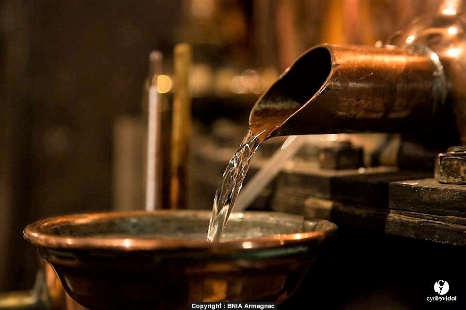 Белый арманьяк