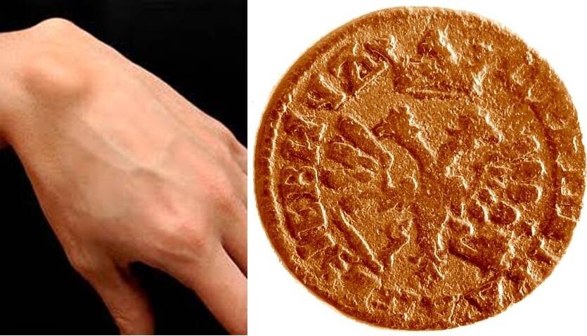 Фото взято с сайта википедия.