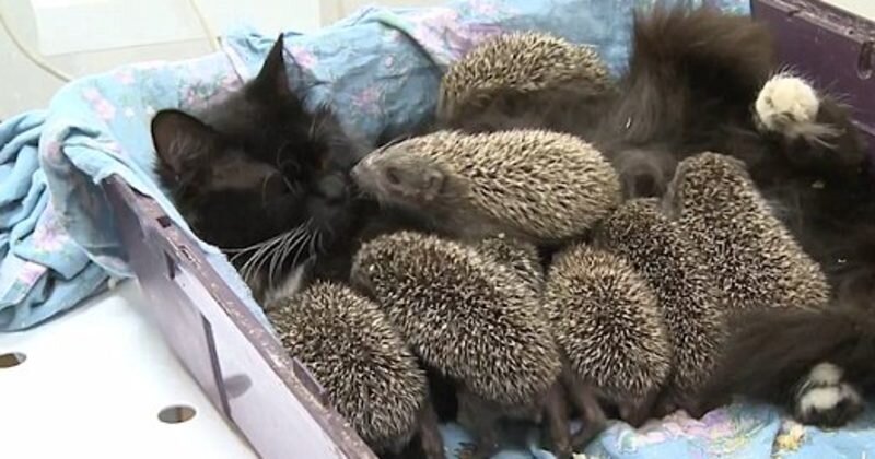 Источник: vk.com