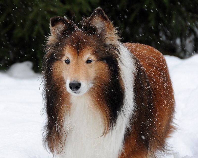 Из открытых источников.