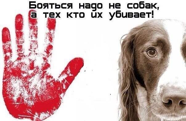 фото из соцсетей
