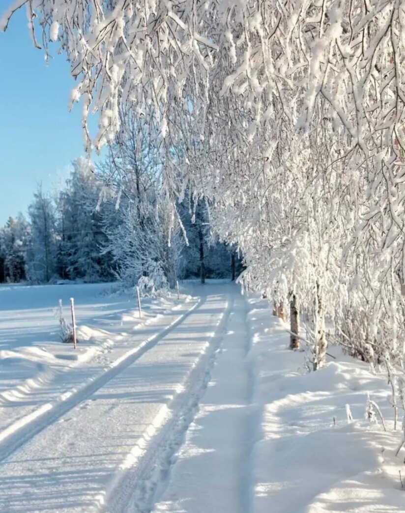 Источник: Pinterest