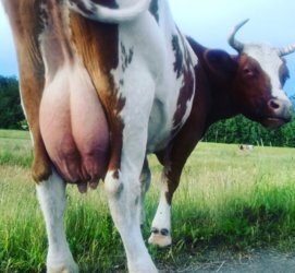 Тамара Коханская