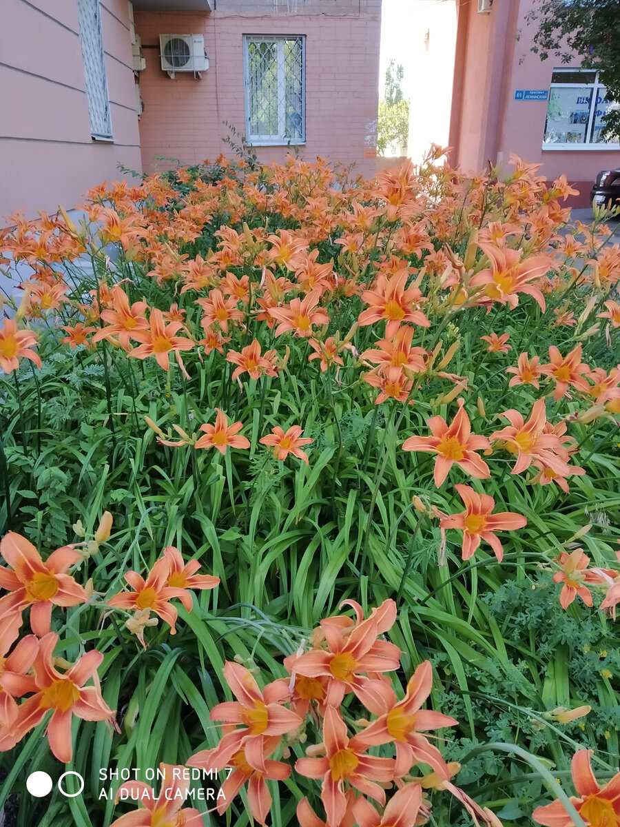 Фото из личного архива.