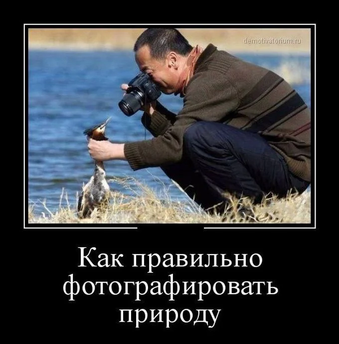 Картинка фотограф прикол