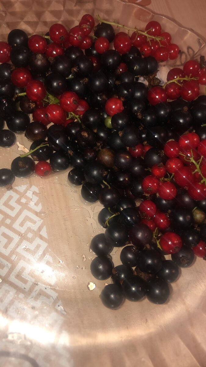 Сегодня по обедал вкусной смородиной !Вкусно ,сытно и полезно 😘😋😍