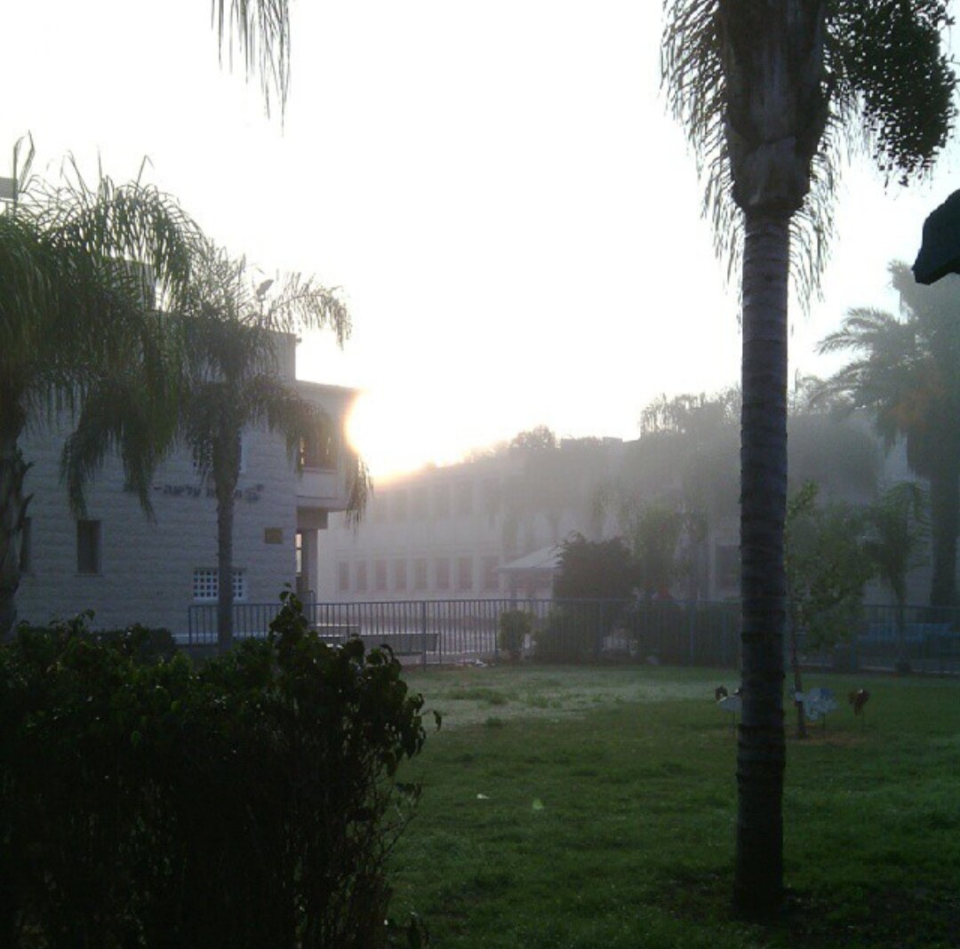 Здания школы