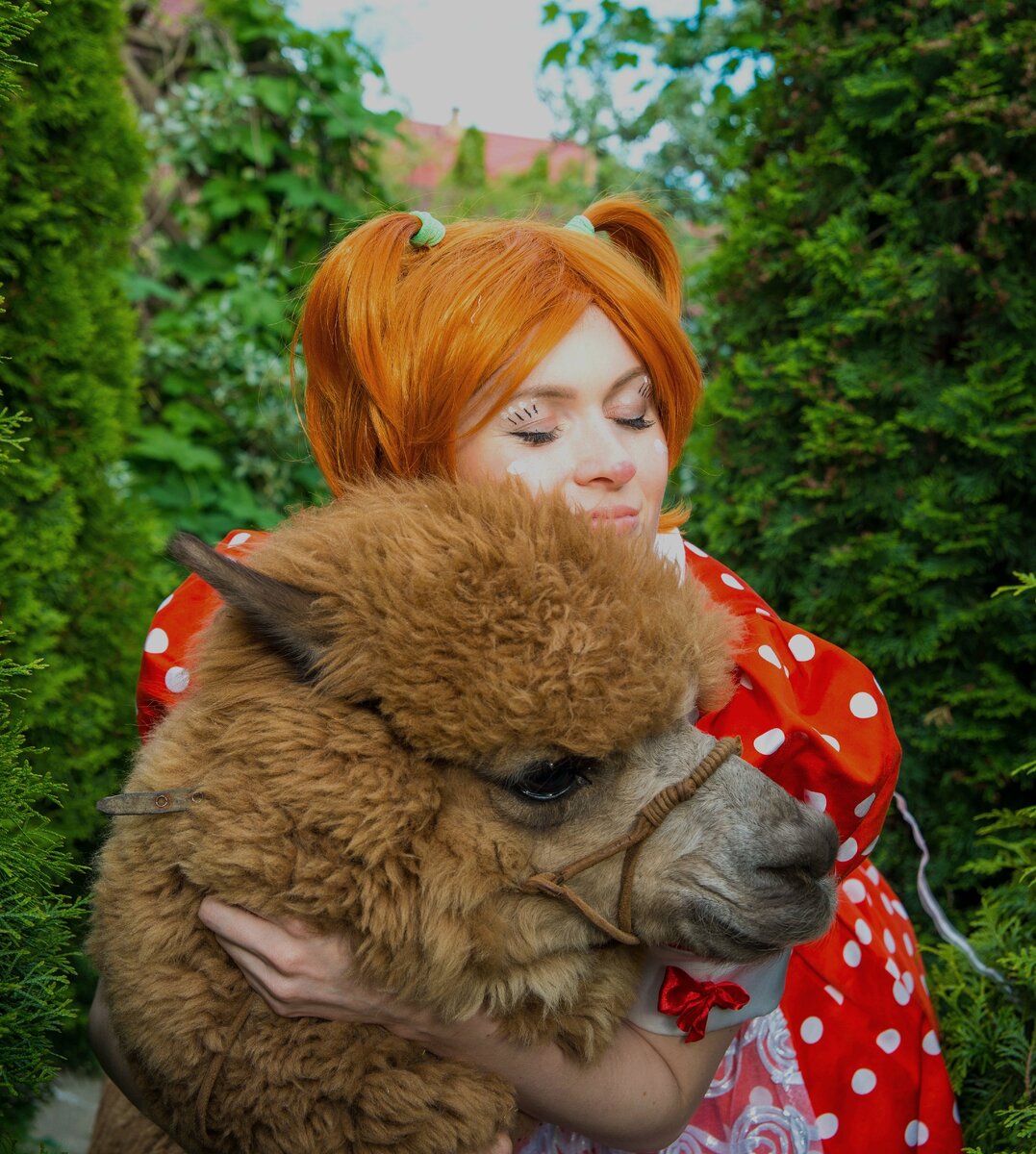 Знакомьтесь-его зовут Вилли