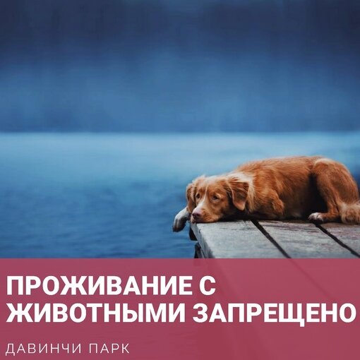 Давинчи Парк Загородный Клуб 
