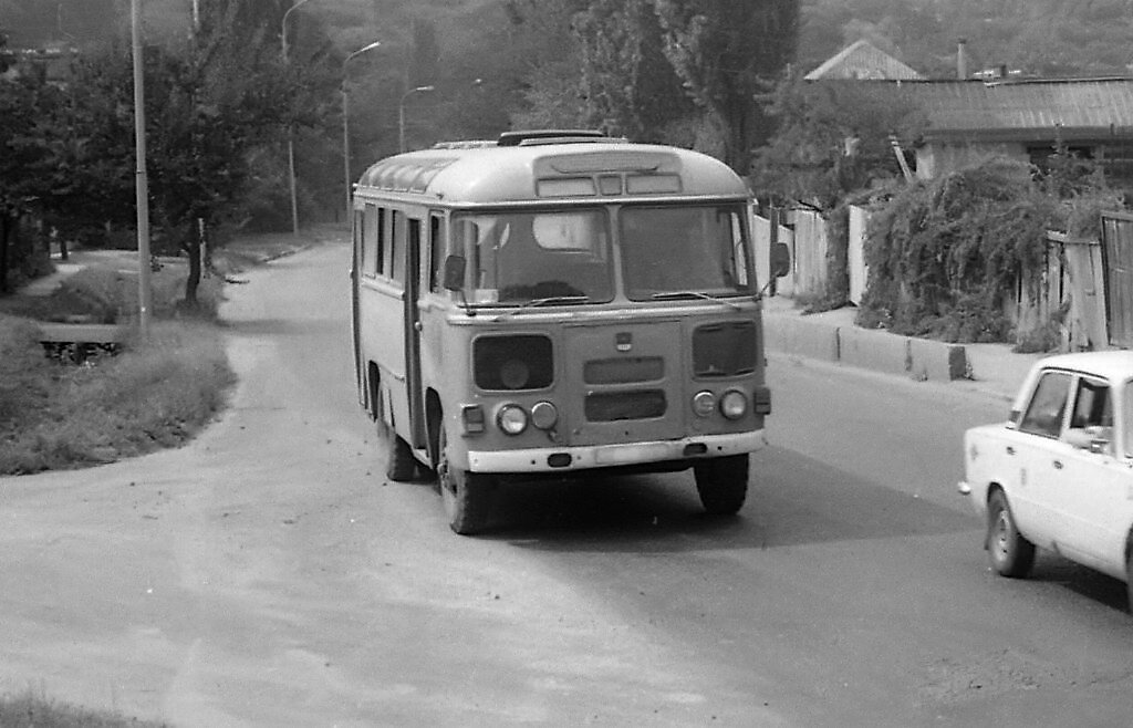 фото с просторов интернета