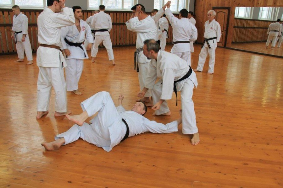 На семинаре по каратэ с Сэнсэями Ивата и Сато, фото из моего ЖЖ